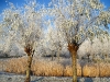Winterwonderland-15